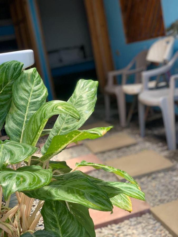 Hostel Tortuguero 7Backpackers Exterior foto